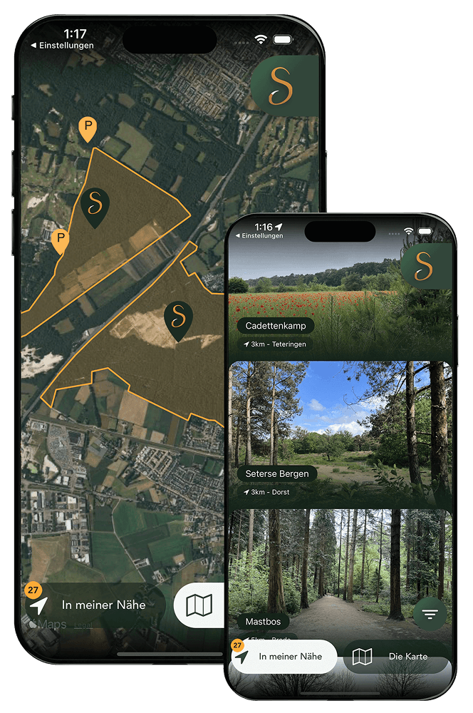 Top Preview App