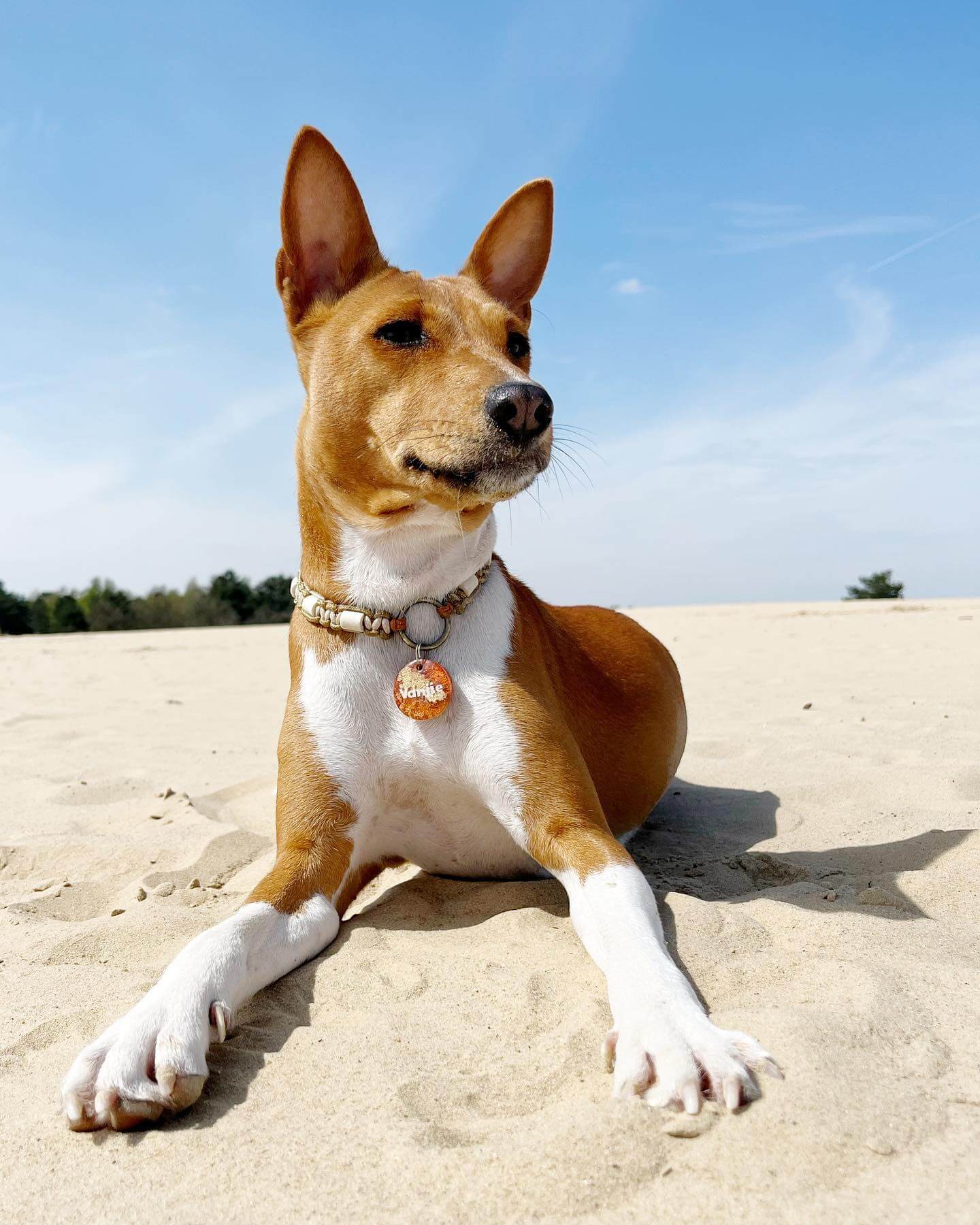 Una fotografía que muestra a tres personas y un perro